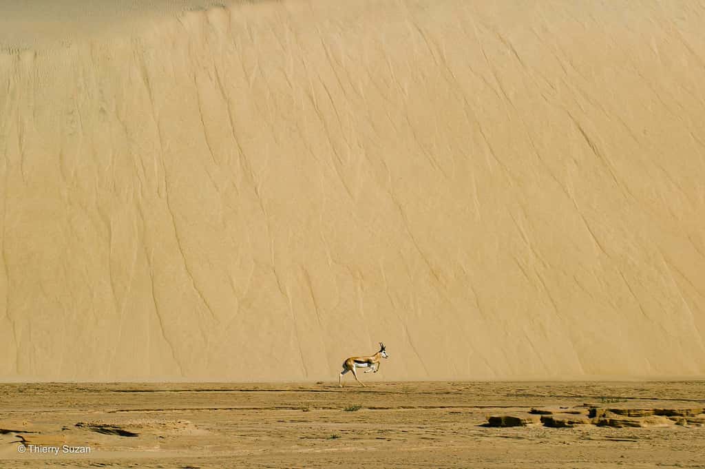 Dans le silence du désert | Dunes de Sossusvlei